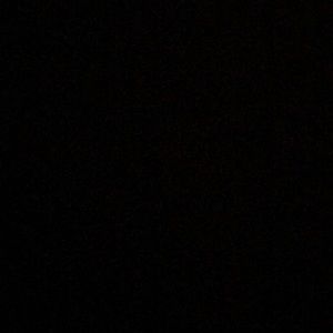 Meet your Posher, Bella